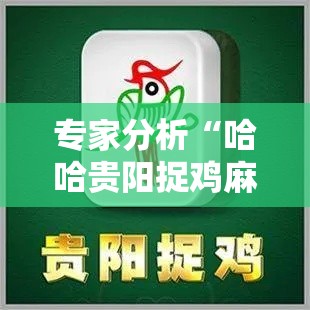 专家分析“哈哈贵阳捉鸡麻将怎么打才能赢”开挂辅助详细步骤