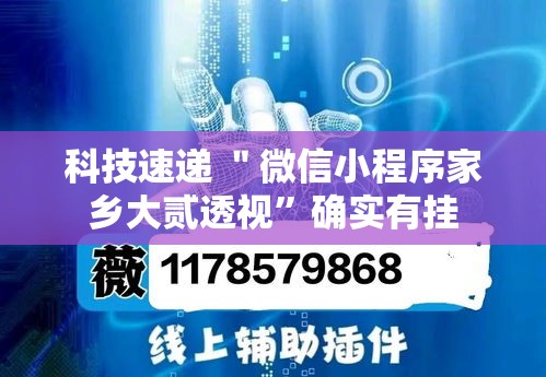 科技速递 ＂微信小程序家乡大贰透视”确实有挂