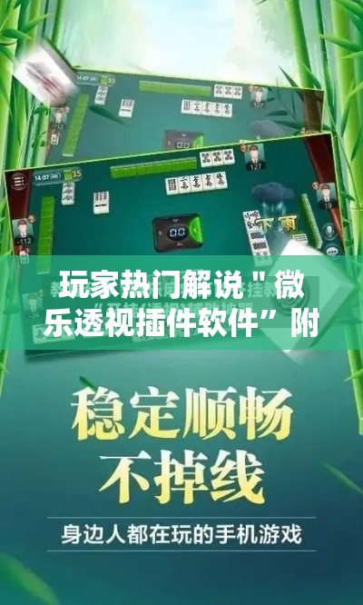 玩家热门解说＂微乐透视插件软件”附开挂脚本详细教程