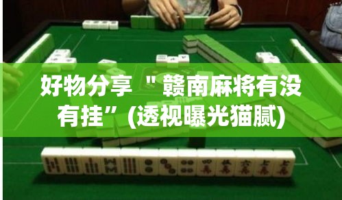 好物分享 ＂赣南麻将有没有挂”(透视曝光猫腻)
