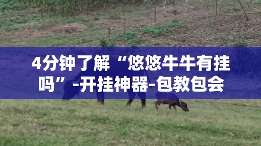 4分钟了解“悠悠牛牛有挂吗”-开挂神器-包教包会