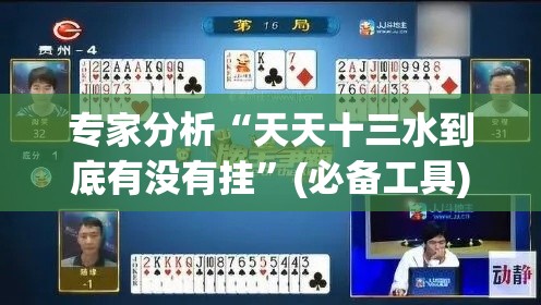 专家分析“天天十三水到底有没有挂”(必备工具)辅助教学