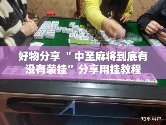 好物分享 ＂中至麻将到底有没有装挂”分享用挂教程