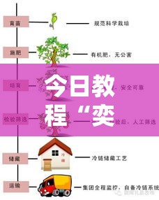今日教程“奕胜是什么意思	”附透视挂详细教程
