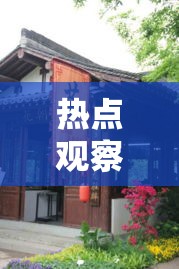 热点观察 ＂滇南茶馆其实是可以开挂”实测确实有挂