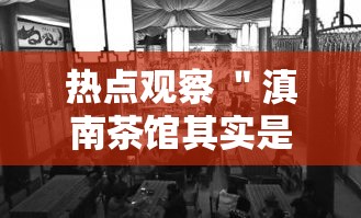 热点观察 ＂滇南茶馆其实是可以开挂	”实测确实有挂