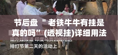 节后盘 ＂老铁牛牛有挂是真的吗”(透视挂)详细用法教程