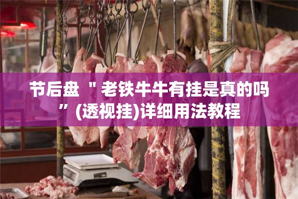 节后盘 ＂老铁牛牛有挂是真的吗”(透视挂)详细用法教程
