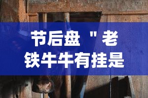 节后盘 ＂老铁牛牛有挂是真的吗”(透视挂)详细用法教程