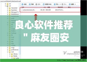 良心软件推荐 ＂麻友圈安全版开挂教程”(必备工具)辅助教学