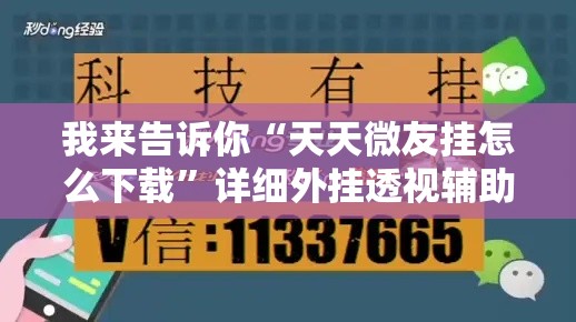 我来告诉你“天天微友挂怎么下载”详细外挂透视辅助软件教程