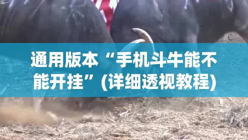 通用版本“手机斗牛能不能开挂	”(详细透视教程)-知乎