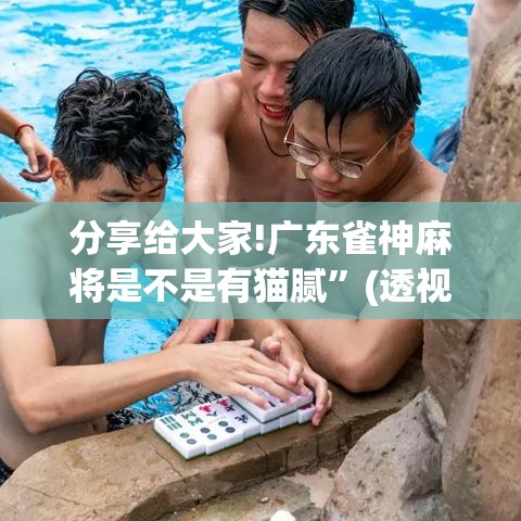 分享给大家!广东雀神麻将是不是有猫腻”(透视)开挂辅助脚本+详细开挂安装教程