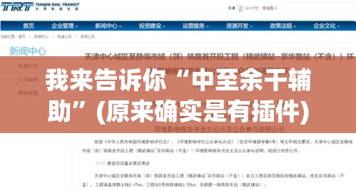 我来告诉你“中至余干辅助”(原来确实是有插件)