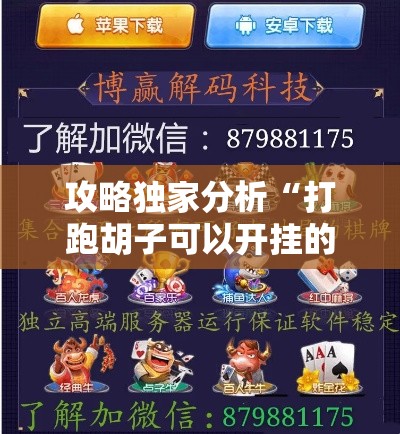 攻略独家分析“打跑胡子可以开挂的软件推荐”科技辅助神器手机版教程