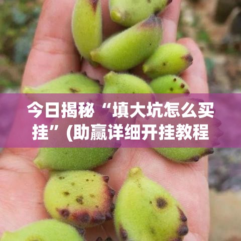 今日揭秘“填大坑怎么买挂”(助赢详细开挂教程)
