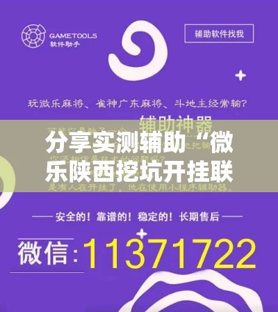 分享实测辅助“微乐陕西挖坑开挂联系方式	”科技辅助神器手机版