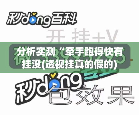 分析实测“牵手跑得快有挂没(透视挂真的假的)