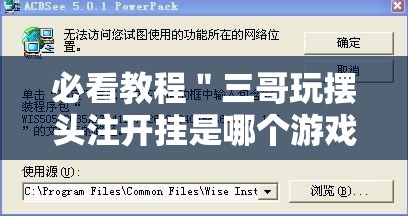 必看教程＂三哥玩摆头注开挂是哪个游戏	”开挂辅助脚本+详细开挂安装教程