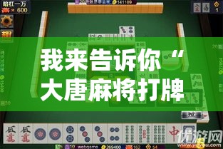 我来告诉你“大唐麻将打牌规律”详细辅助教程分享