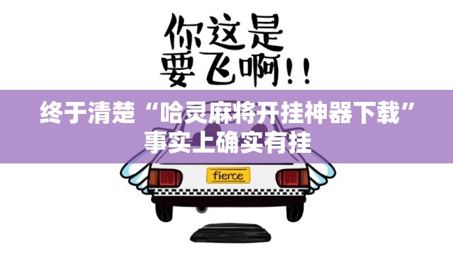 终于清楚“哈灵麻将开挂神器下载”事实上确实有挂