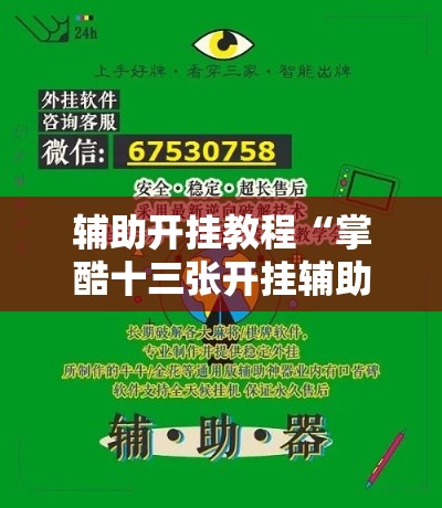 辅助开挂教程“掌酷十三张开挂辅助软件工具”确实果然有挂