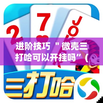 进阶技巧 ＂微壳三打哈可以开挂吗”(确实有挂)