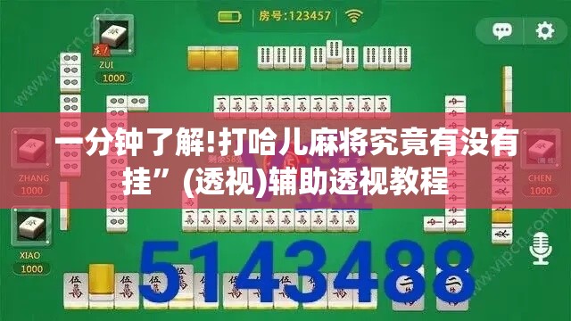 一分钟了解!打哈儿麻将究竟有没有挂”(透视)辅助透视教程