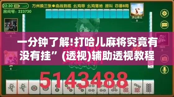 一分钟了解!打哈儿麻将究竟有没有挂”(透视)辅助透视教程