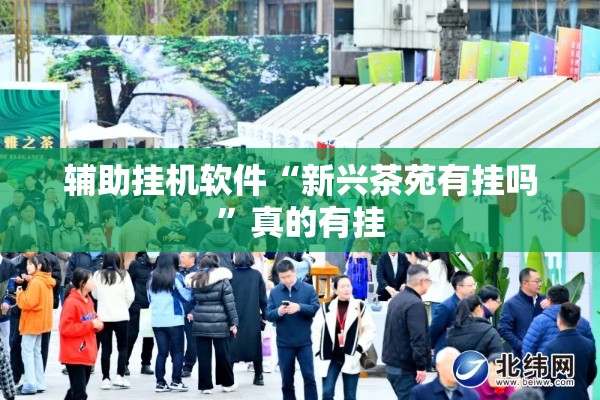 辅助挂机软件“新兴茶苑有挂吗	”真的有挂