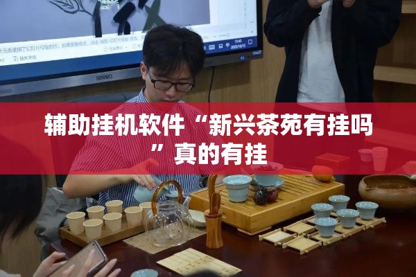 辅助挂机软件“新兴茶苑有挂吗”真的有挂