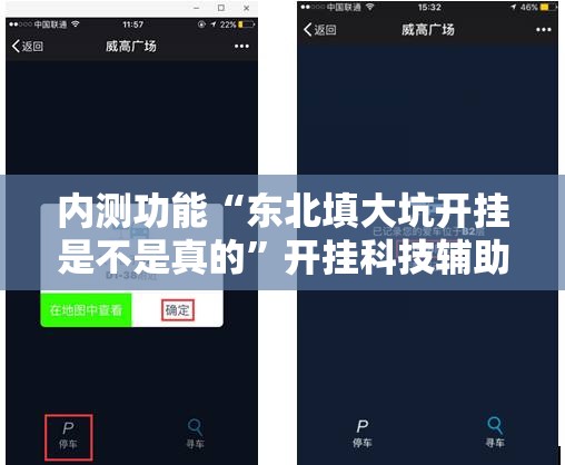 内测功能“东北填大坑开挂是不是真的”开挂科技辅助神器手机