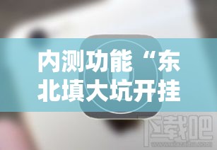 内测功能“东北填大坑开挂是不是真的	”开挂科技辅助神器手机