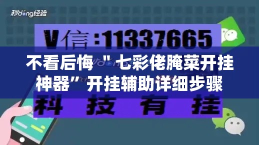 不看后悔 ＂七彩佬腌菜开挂神器”开挂辅助详细步骤