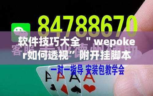 软件技巧大全 ＂wepoker如何透视	”附开挂脚本