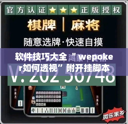 软件技巧大全 ＂wepoker如何透视”附开挂脚本