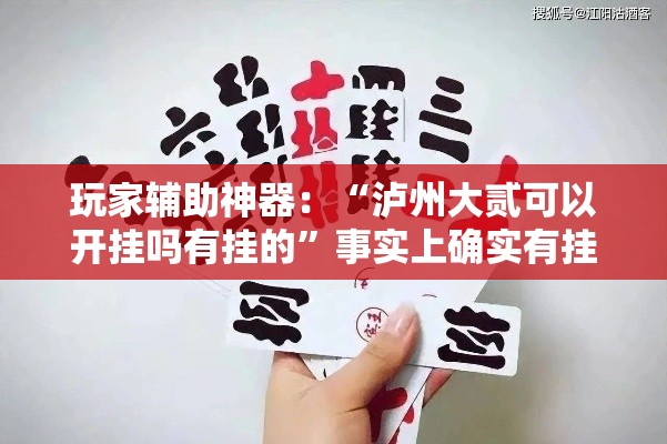 玩家辅助神器：“泸州大贰可以开挂吗有挂的”事实上确实有挂