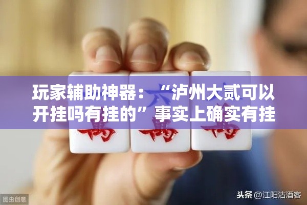玩家辅助神器：“泸州大贰可以开挂吗有挂的”事实上确实有挂