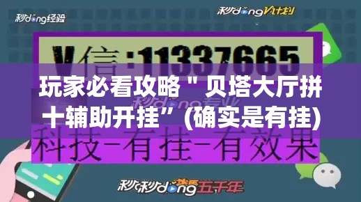 玩家必看攻略＂贝塔大厅拼十辅助开挂”(确实是有挂)知乎