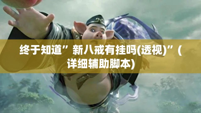 终于知道”新八戒有挂吗(透视)”(详细辅助脚本)