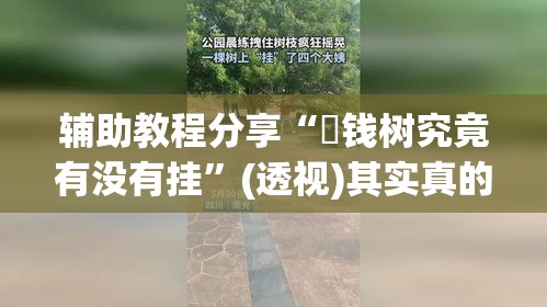辅助教程分享“揺钱树究竟有没有挂	”(透视)其实真的有挂