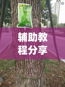 辅助教程分享“揺钱树究竟有没有挂”(透视)其实真的有挂