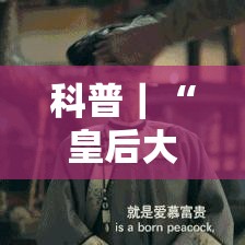科普｜“皇后大厅有挂吗可以开挂吗”-玩家曝光开挂流程