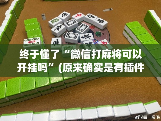 终于懂了“微信打麻将可以开挂吗”(原来确实是有插件)