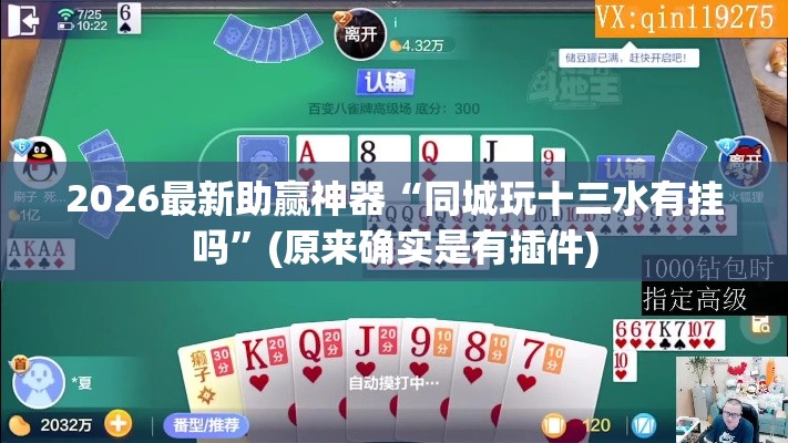 2026最新助赢神器“同城玩十三水有挂吗”(原来确实是有插件)