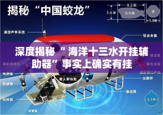 深度揭秘 ＂海洋十三水开挂辅助器”事实上确实有挂