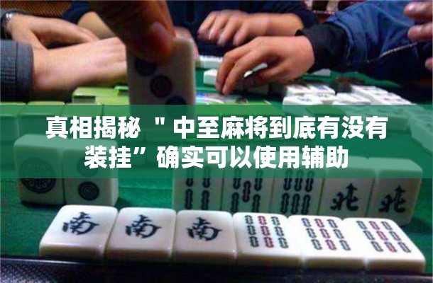 真相揭秘 ＂中至麻将到底有没有装挂”确实可以使用辅助