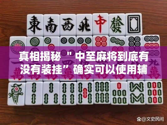 真相揭秘 ＂中至麻将到底有没有装挂”确实可以使用辅助