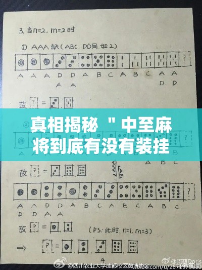 真相揭秘 ＂中至麻将到底有没有装挂”确实可以使用辅助