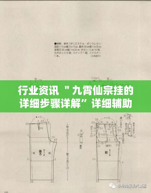 行业资讯 ＂九霄仙宗挂的详细步骤详解	”详细辅助教程分享